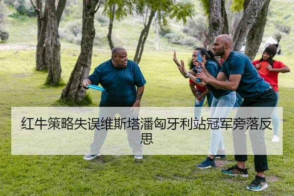 红牛策略失误维斯塔潘匈牙利站冠军旁落反思